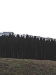 First Era, Dragon Lo