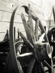 Rebirth of the Urban